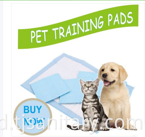 pet pad